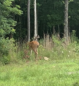 Residential Land in Jasper Highlands