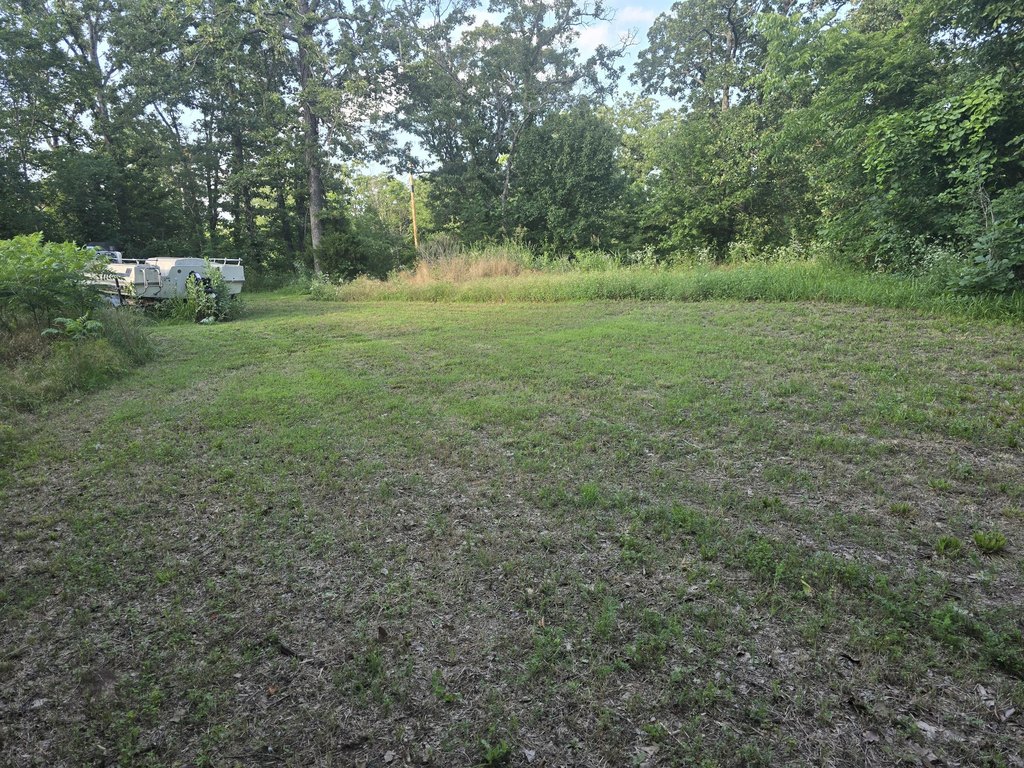 Picture 2
