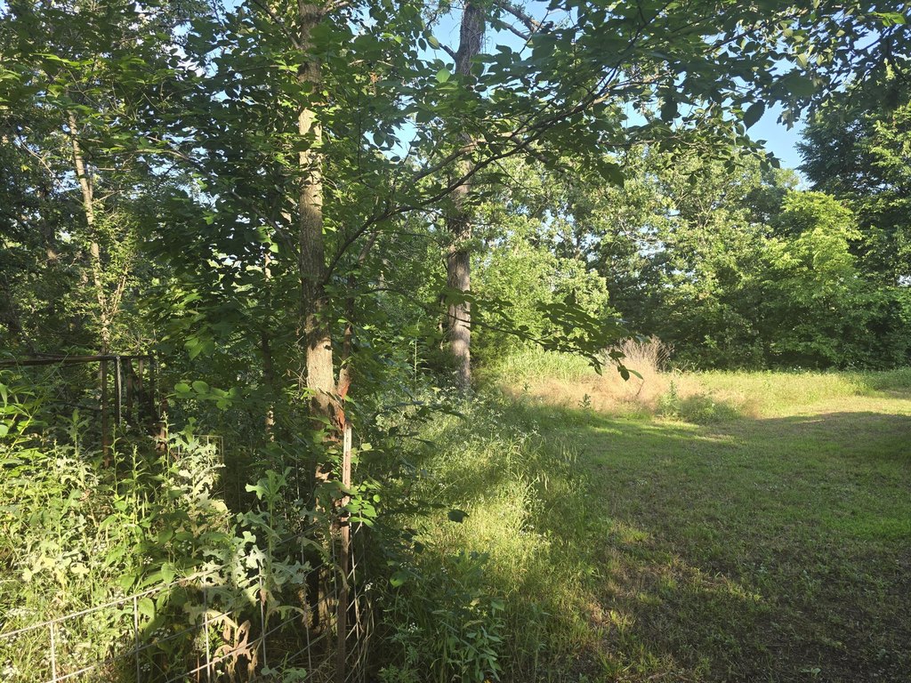 Picture 4