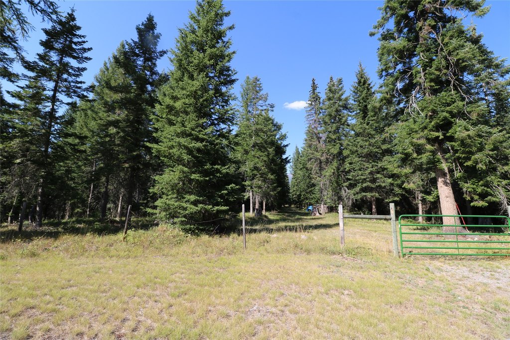 Picture 7