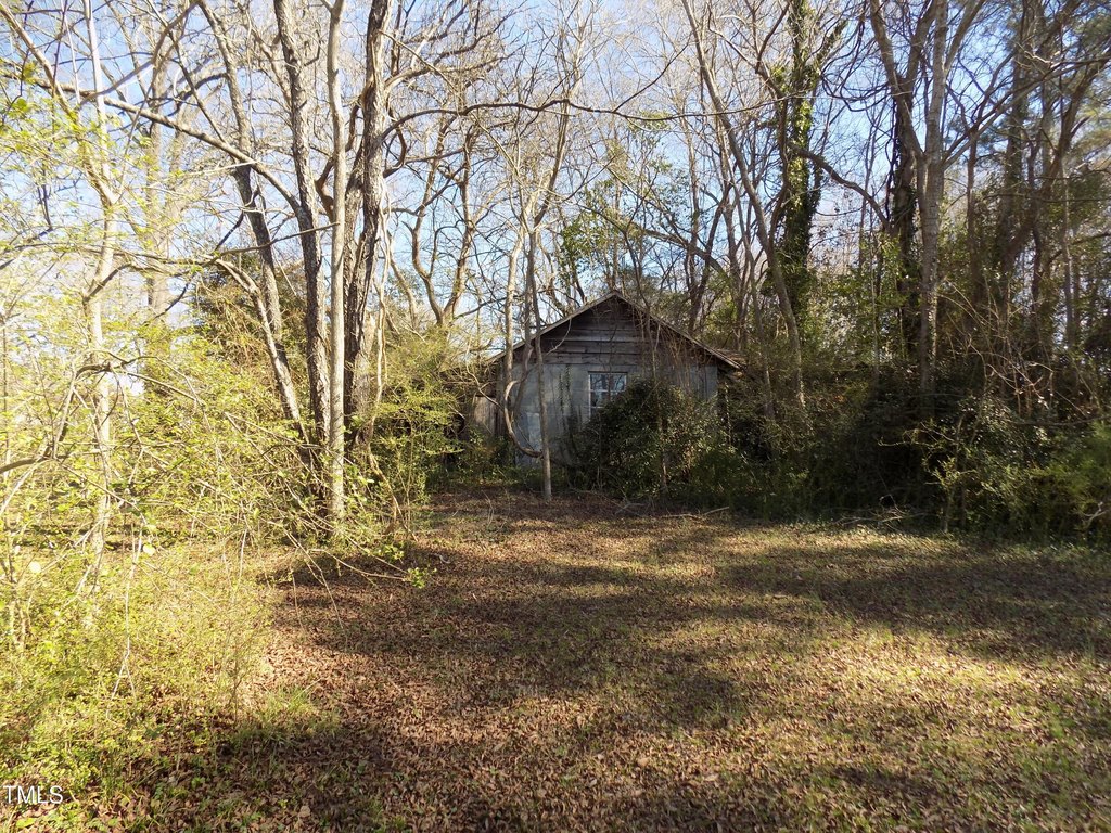 Picture 10