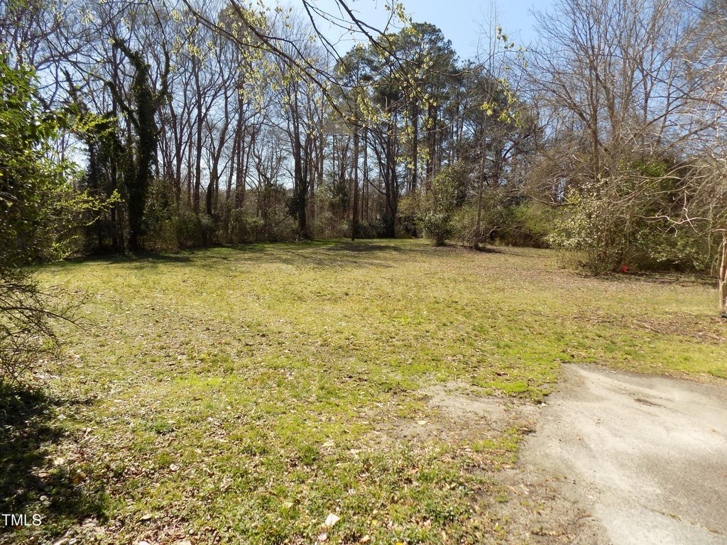Picture 3