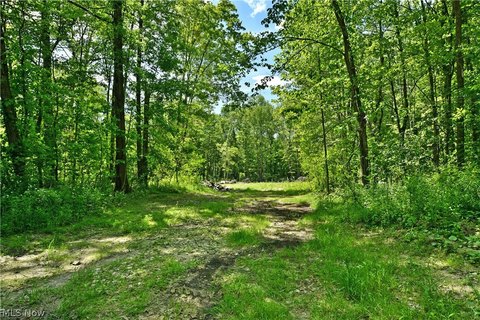 LAND - Bristolville, OH
