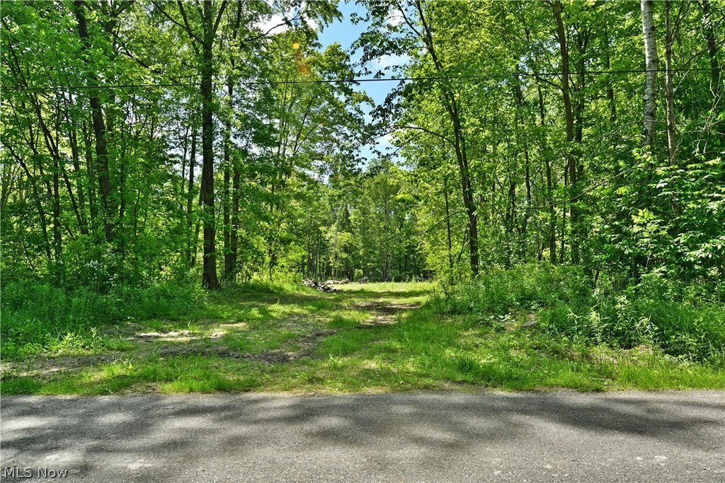 Picture 20