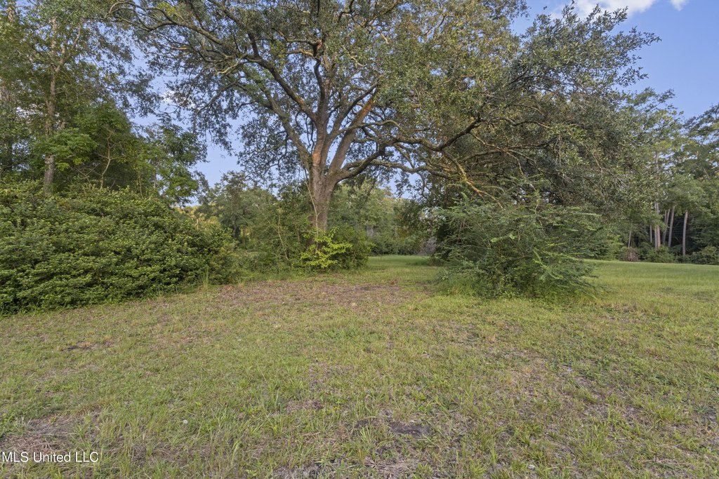 Picture 17
