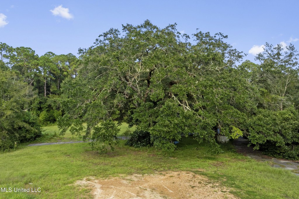 Picture 38