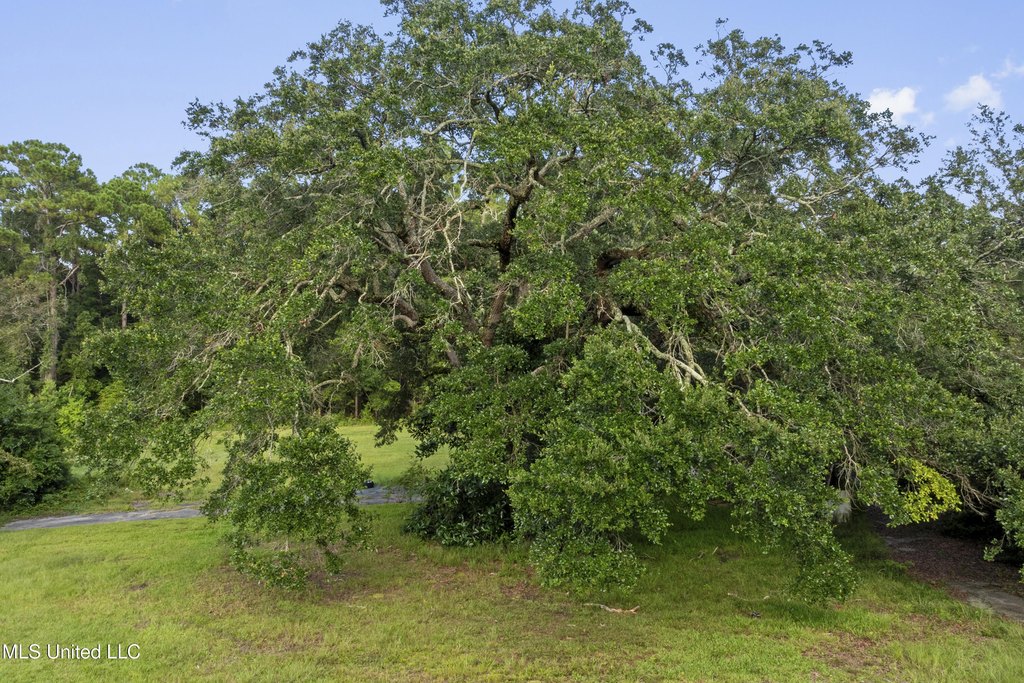 Picture 37