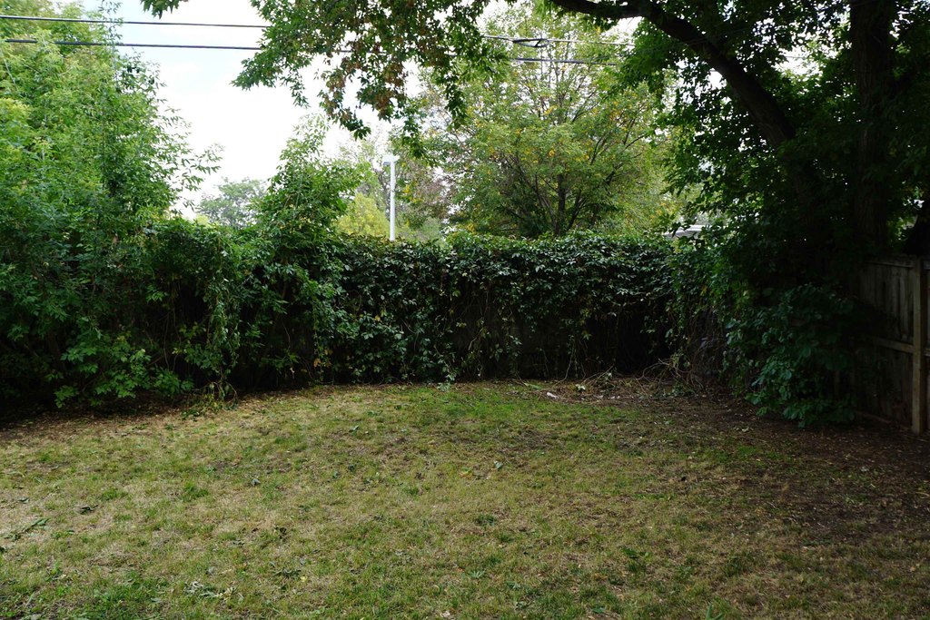 Picture 24