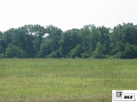 Commercial Land with High Visibility