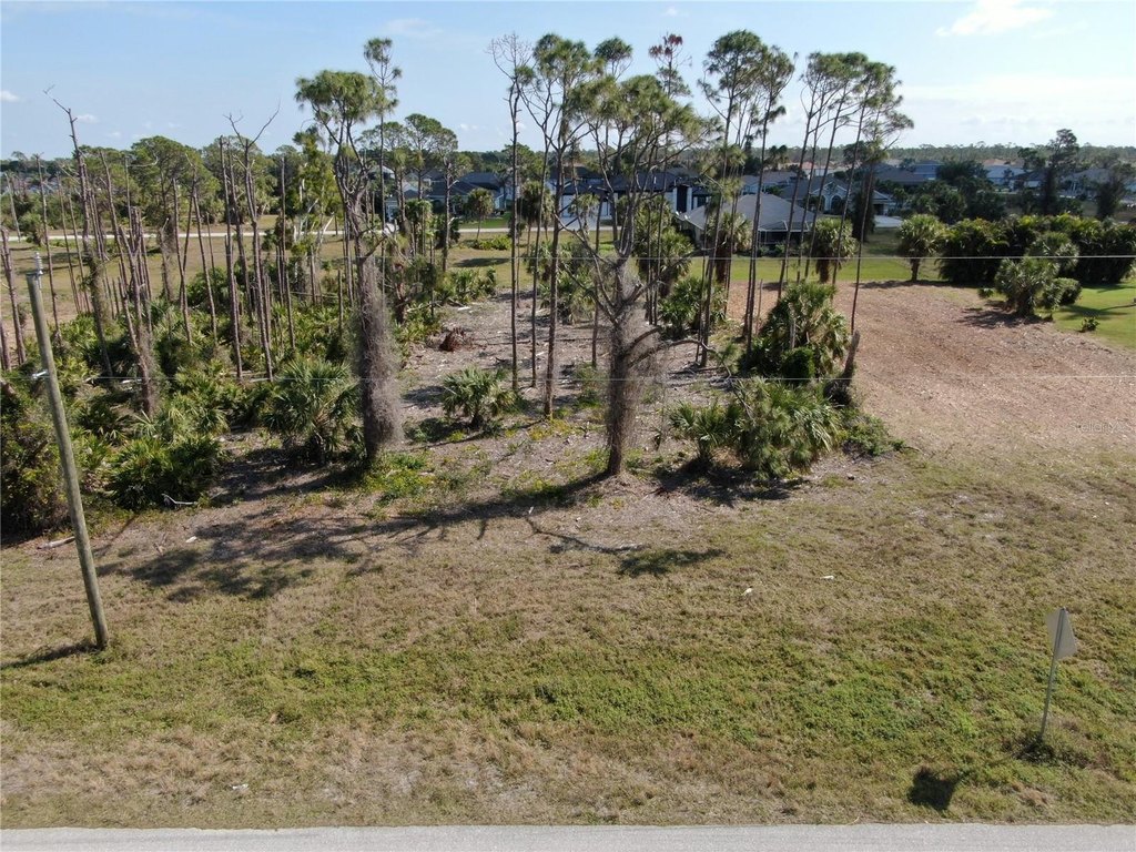 Picture 4