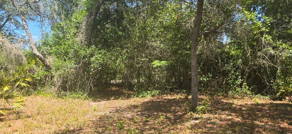 Picture 2