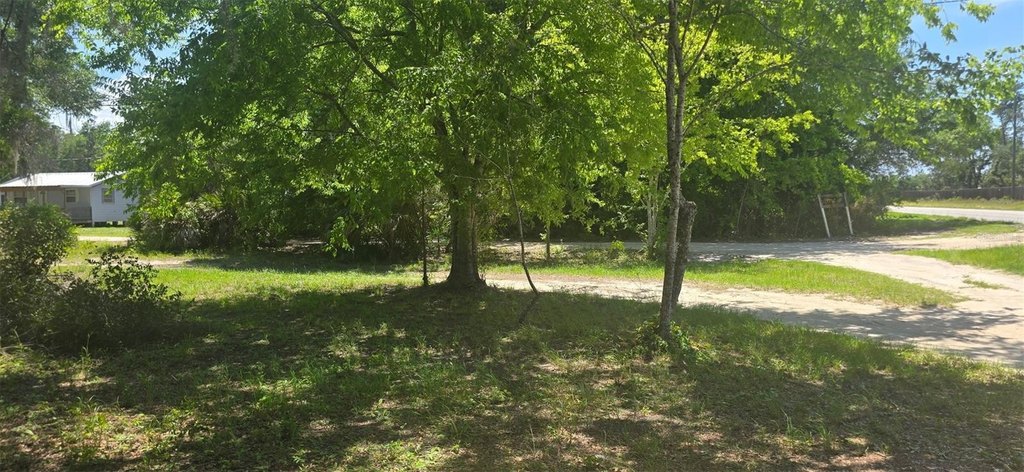 Picture 9