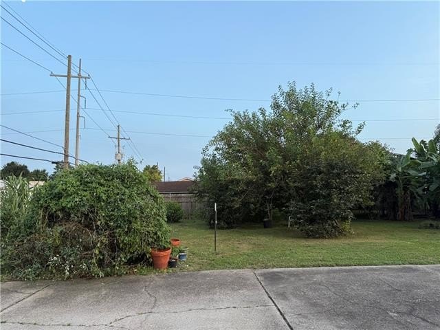 Picture 7