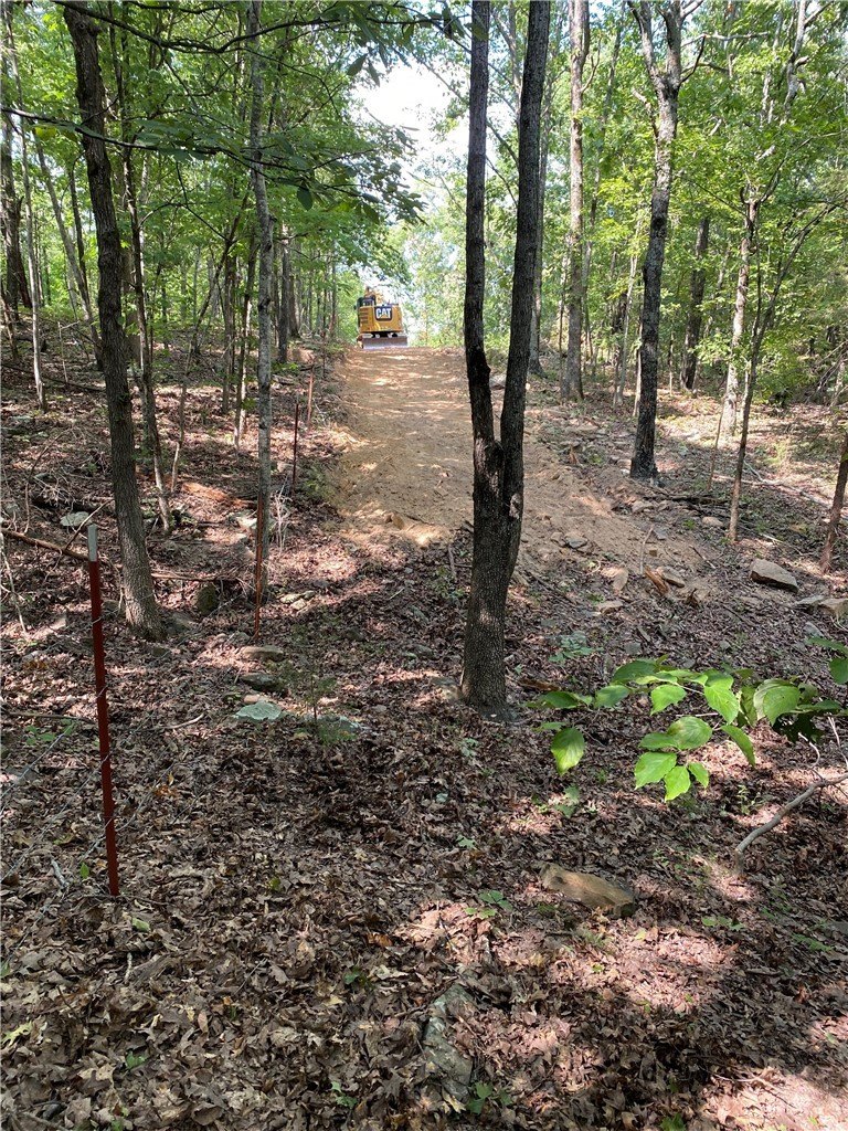 West Fork 40-Acre Parcel