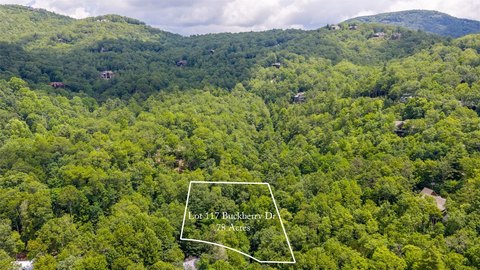 Residential Lot in Sapphire, NC