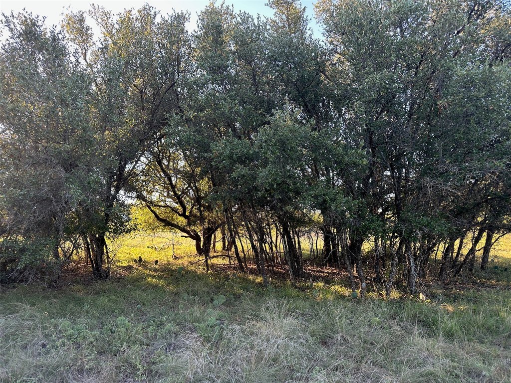 Picture 10