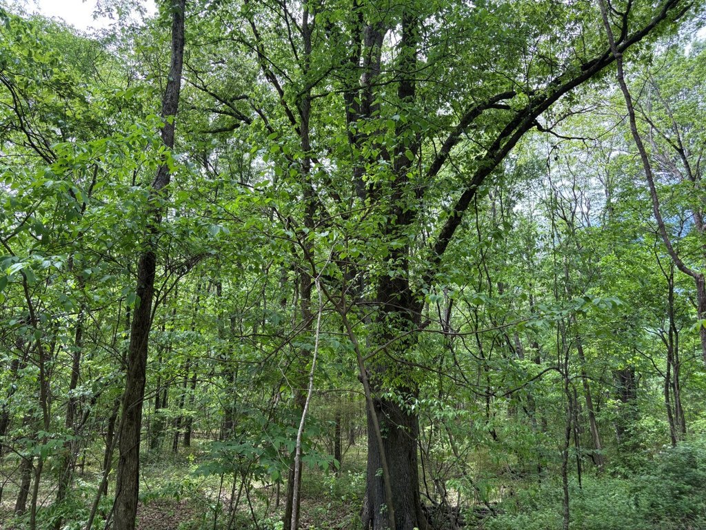 Picture 8