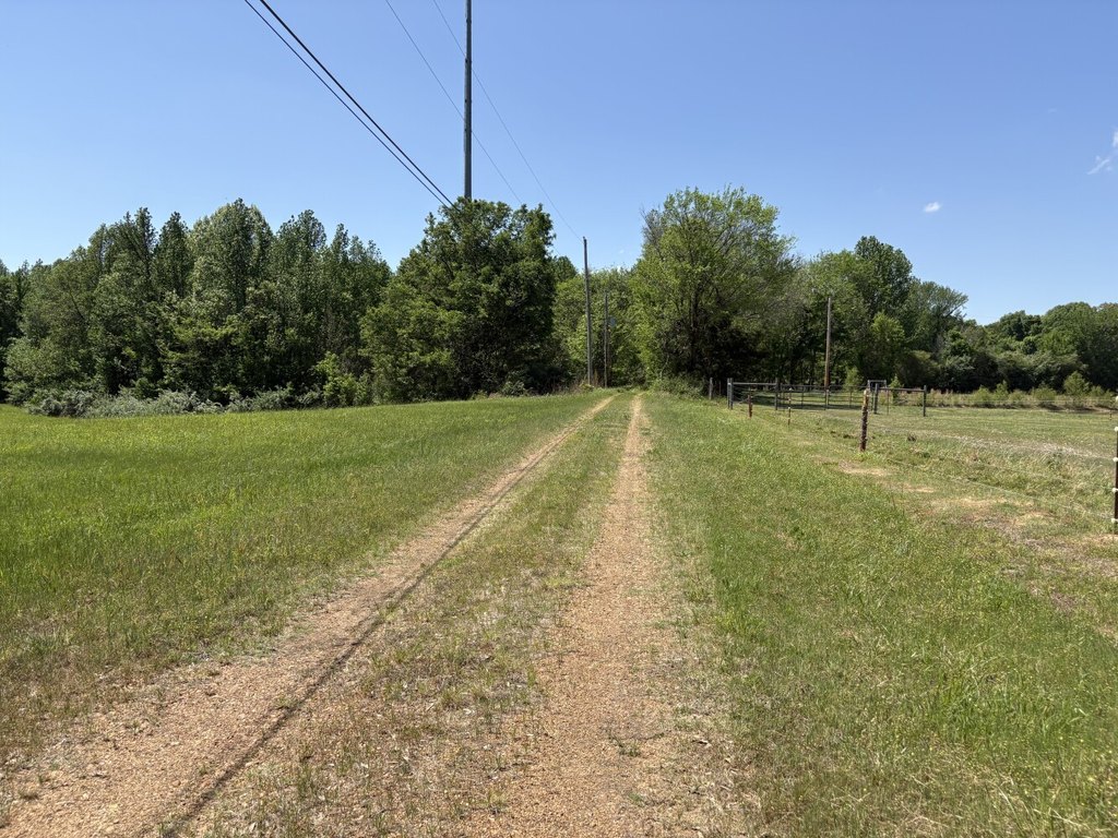 Picture 19