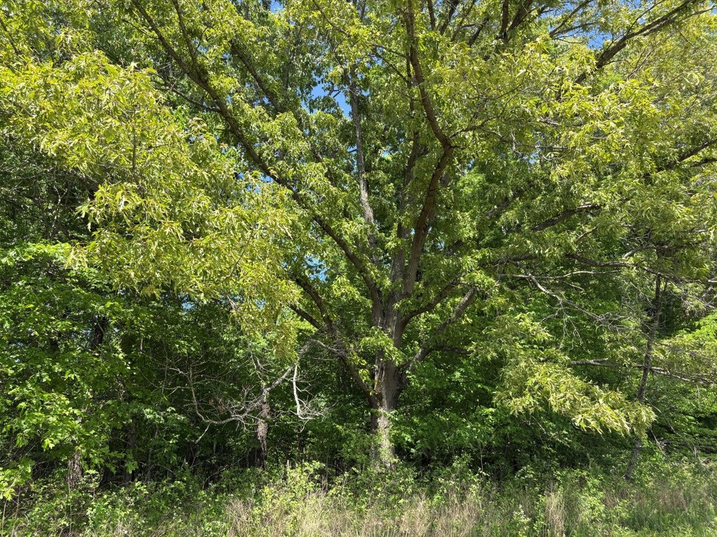 Picture 16