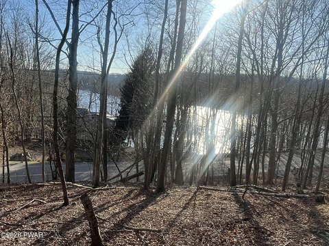 Lake Ariel Land with Views