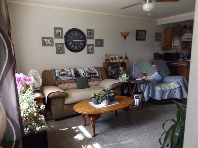 Picture 20