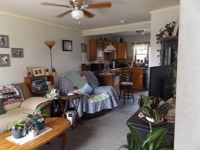 Picture 21