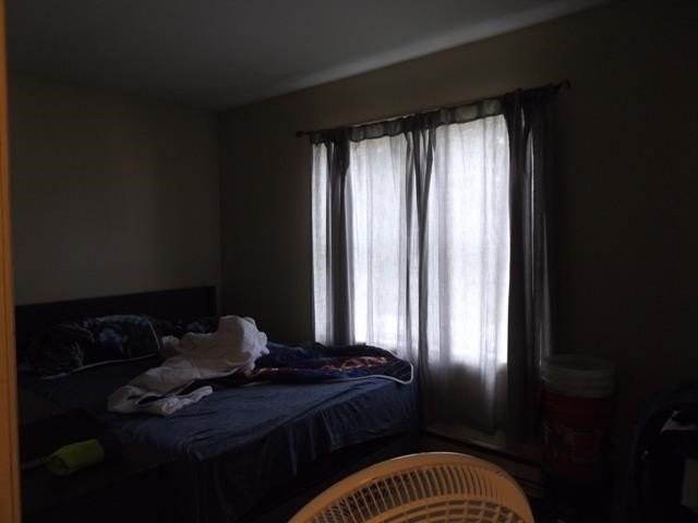 Picture 49