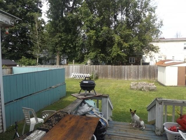 Picture 4