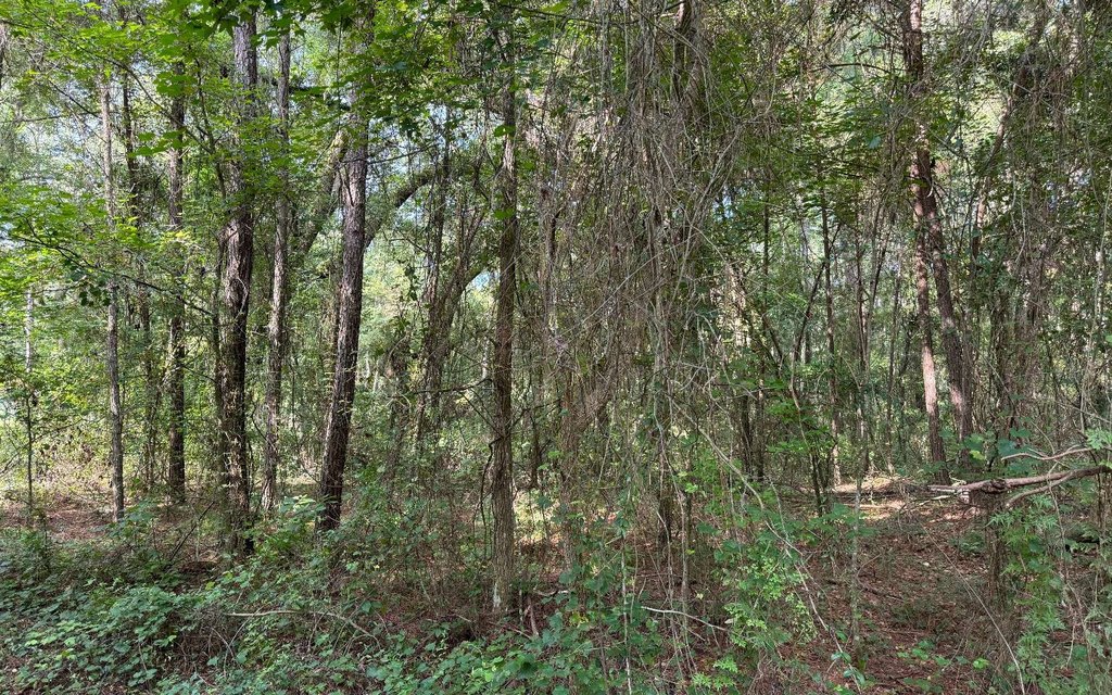 Picture 4