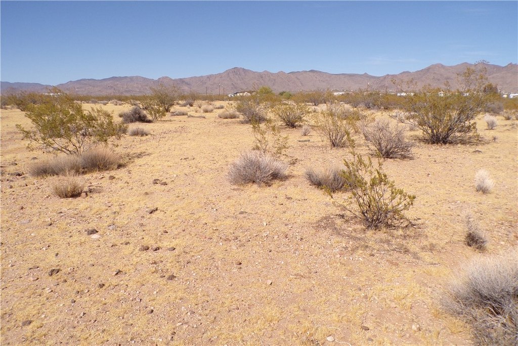 Picture 14