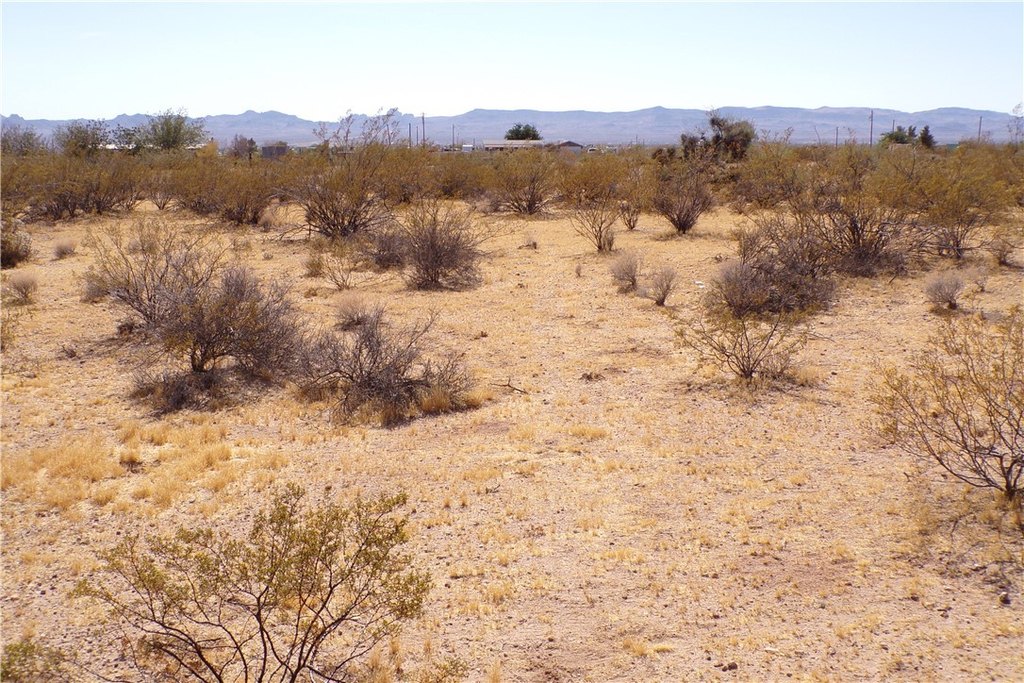 Picture 26