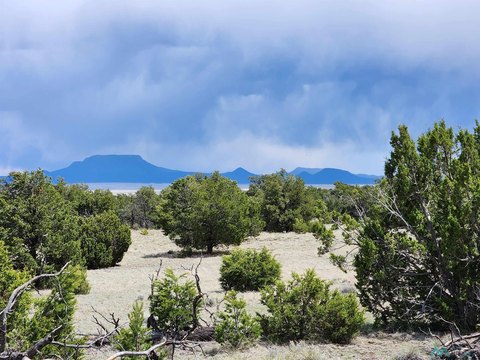Land For Sale, Quemado, NM