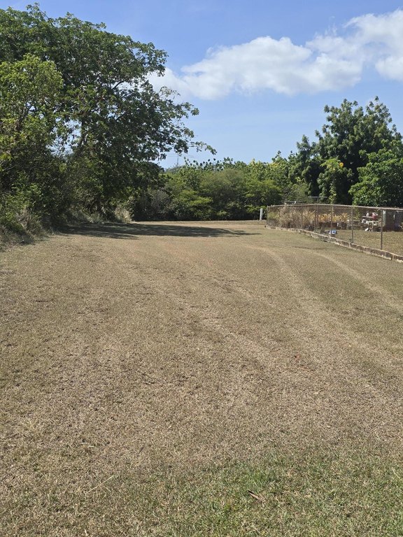 Picture 11
