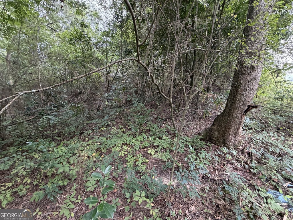 Picture 8