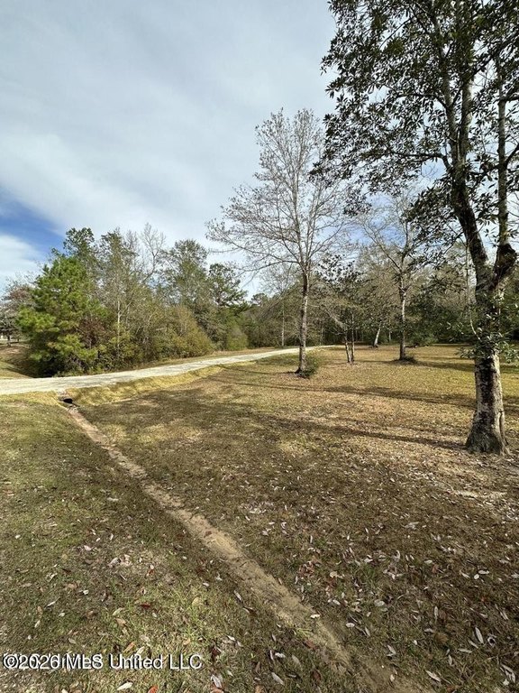Picture 5