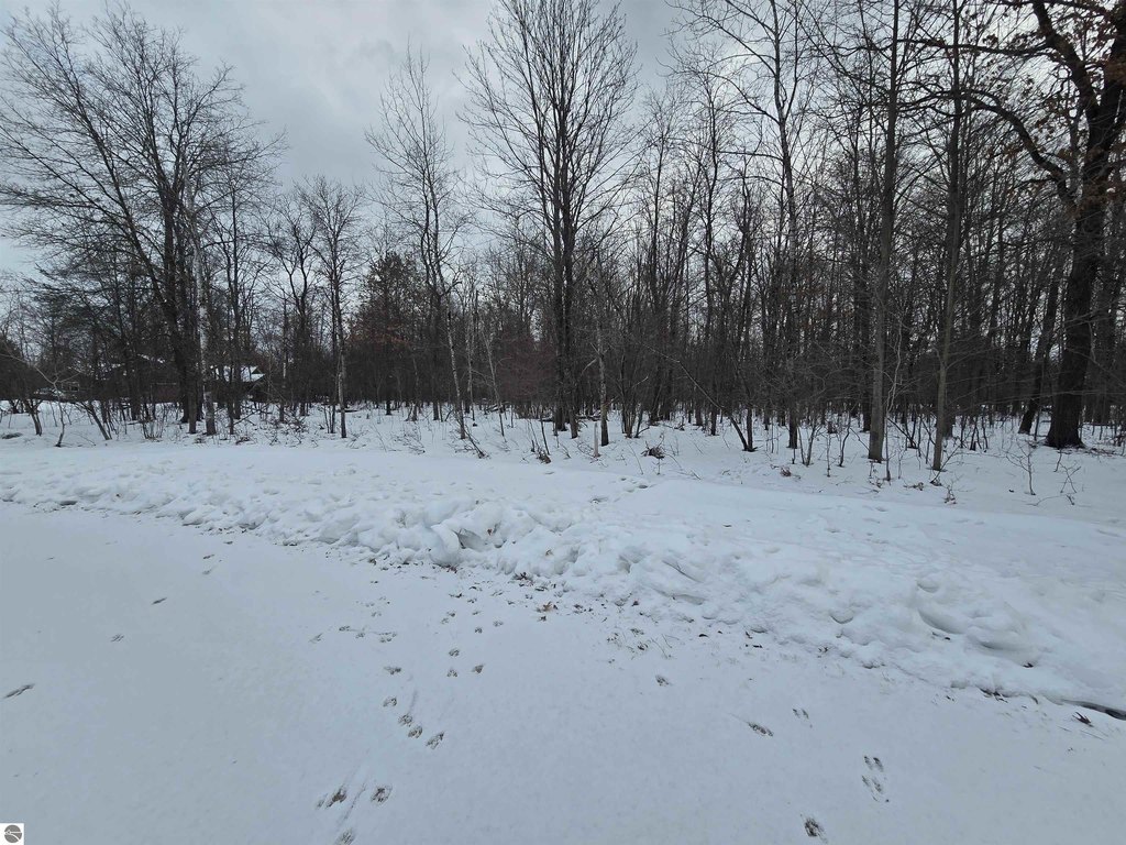 Picture 20