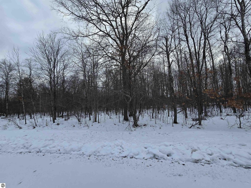 Picture 19