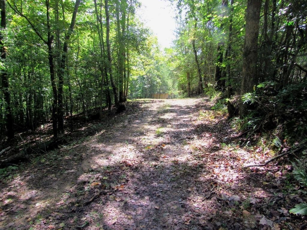 Picture 8