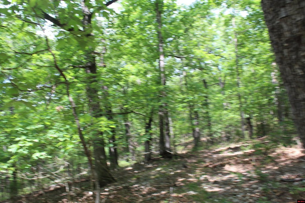 Picture 20
