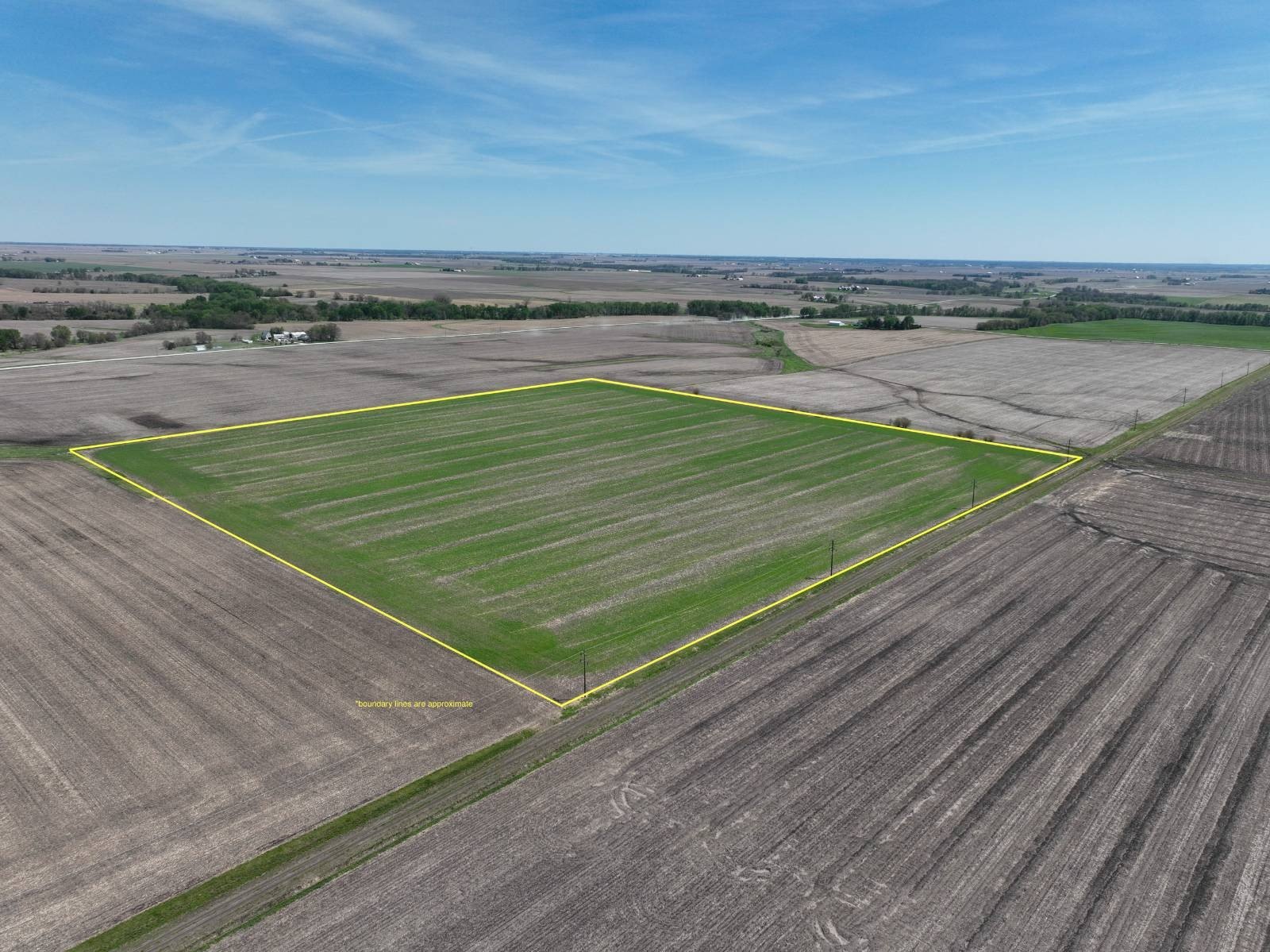 Productive Farmland in Henry County, Iowa