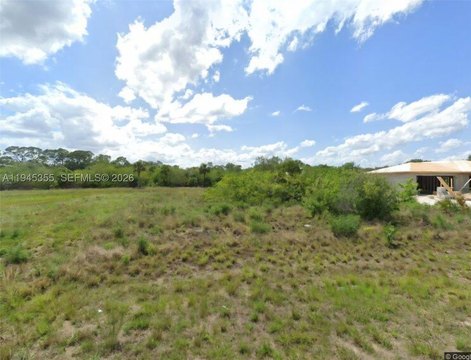 Residential Lot in LaBelle, FL