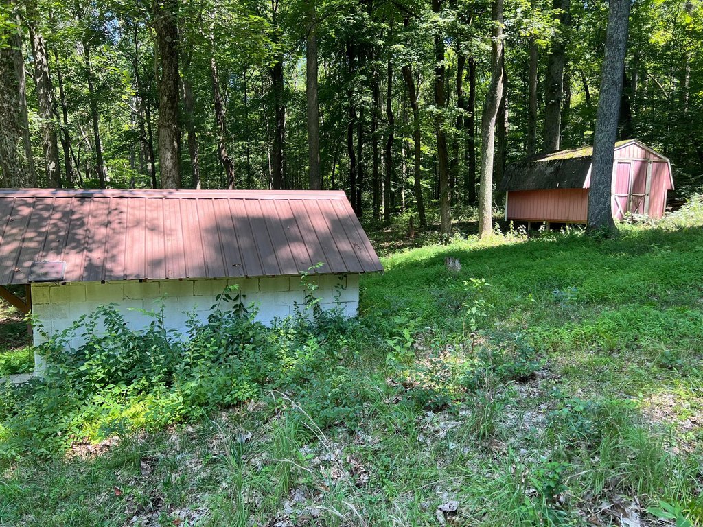 Picture 18