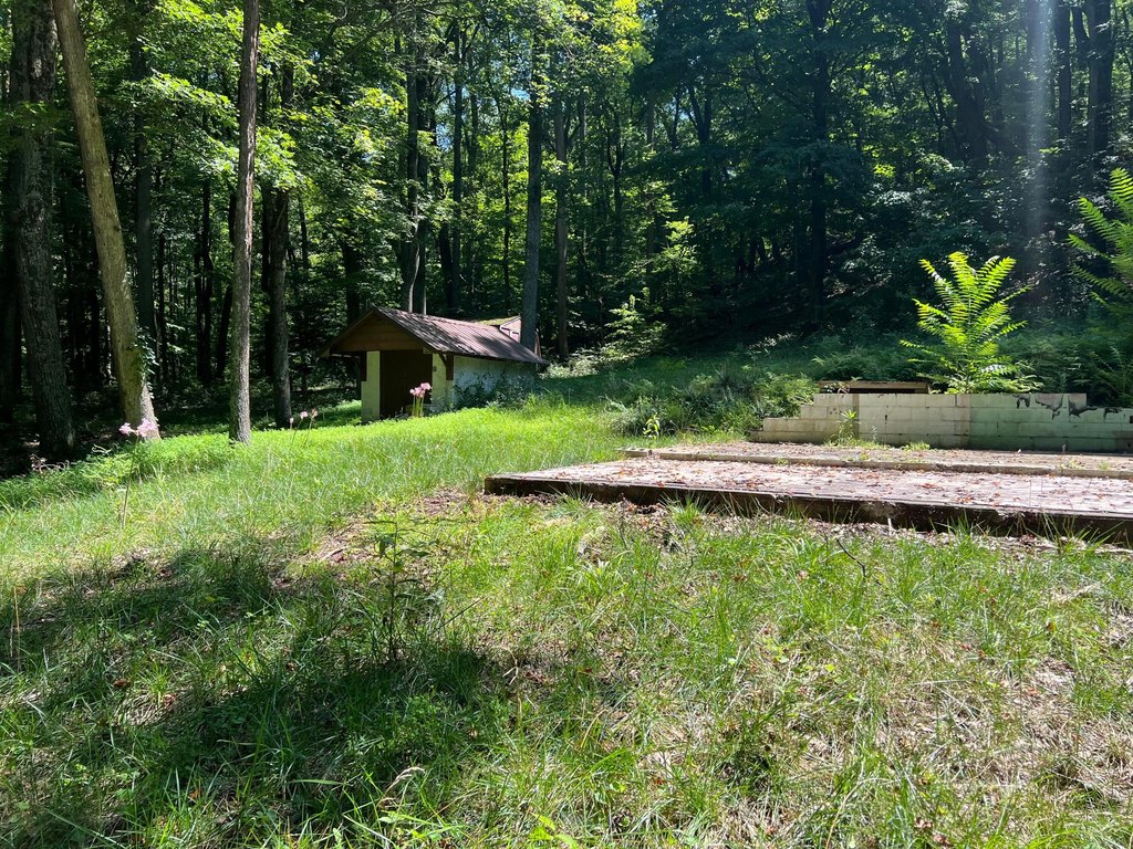 Picture 10