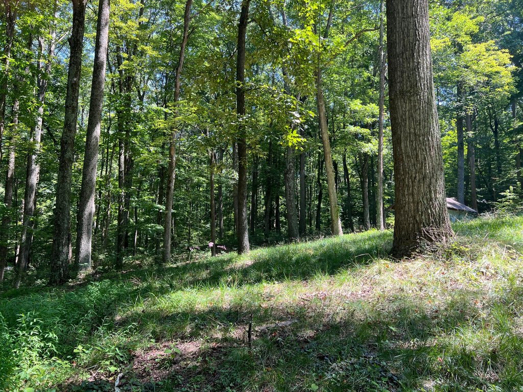 Picture 7