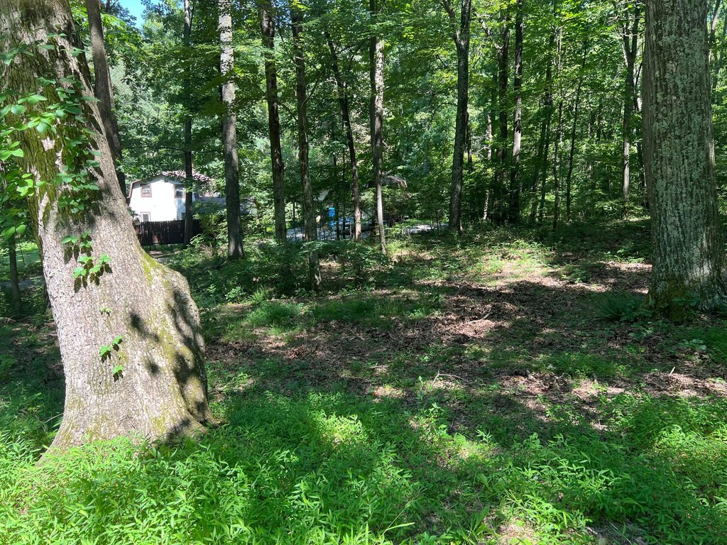 Picture 14
