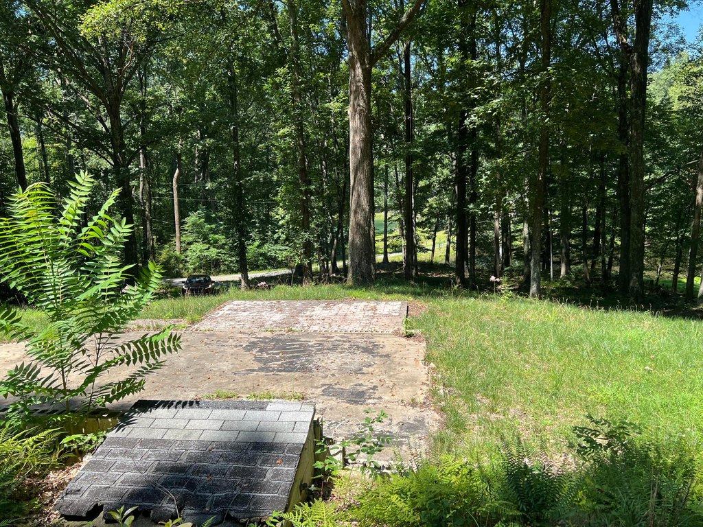 Picture 19