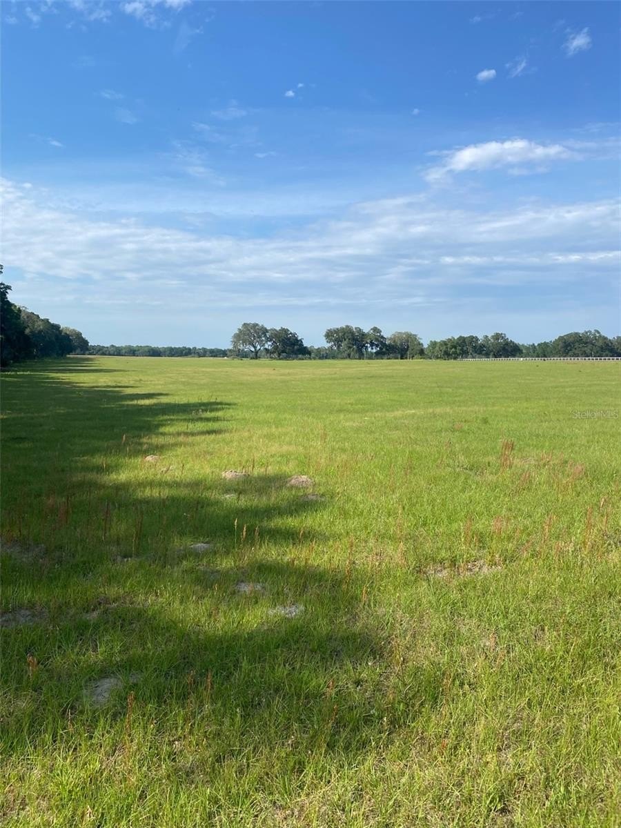 Morriston Land in Equine Subdivision