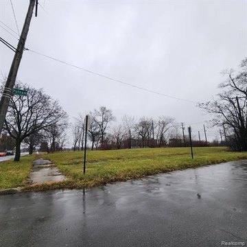 Detroit Land Bundle Opportunity