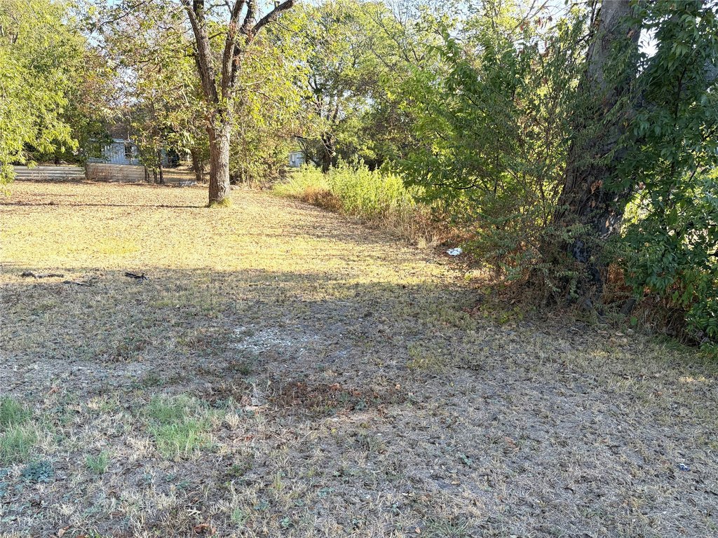 Picture 3