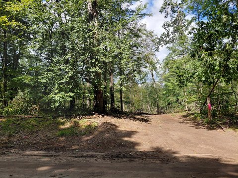 Vicksburg Land with Wooded Hills